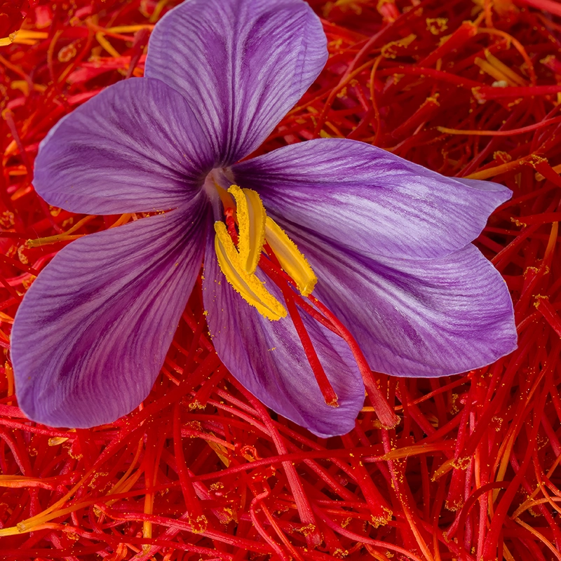 Saffron food for Blood Pressure.
